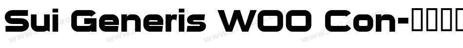 Sui Generis W00 Con字体转换